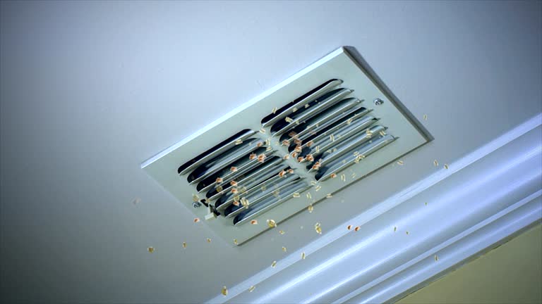 Best Air Duct Sanitizing Services  in Port Oconnor, TX